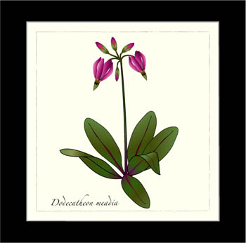 plate39